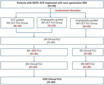 Early vascular healing after neXt-generation drug-eluting stent implantation in Patients with non-ST Elevation acute Coronary syndrome based on optical coherence Tomography guidance and evaluation (EXPECT): study protocol for a randomized controlled trial